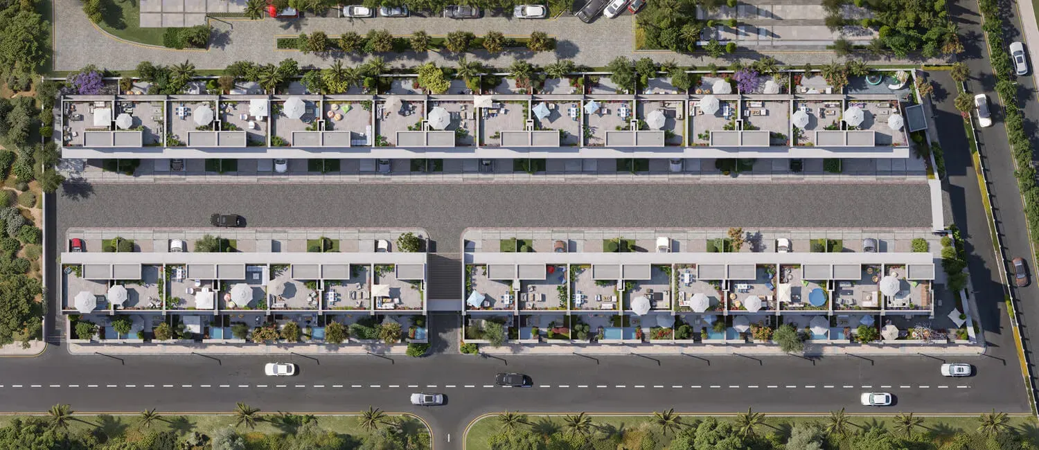 Elia Hills · Amman