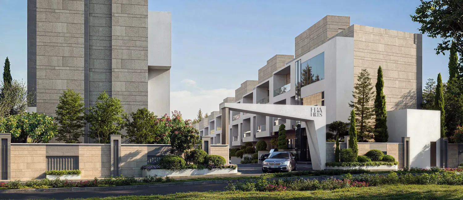Elia Hills · Amman